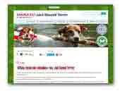 Zakira - kennel Jack Russell Terrier