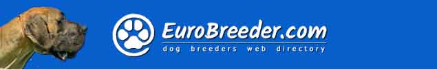 Great Dane Dog Breeders - EuroBreeder.com