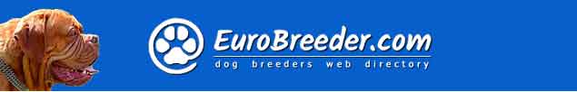 Dogue de Bordeaux Breeders - EuroBreeder.com