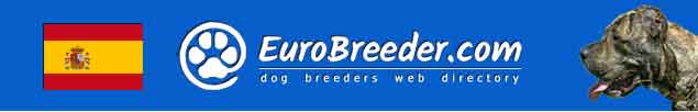 Spain Dog Breeders - EuroBreeder.com
