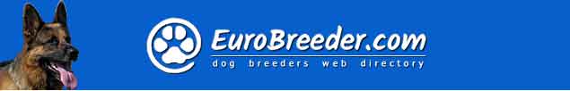 German Shepherd Dog Breeders - EuroBreeder.com