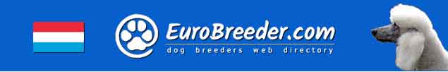 Luxembourg Dog Breeders - EuroBreeder.com
