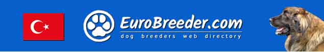 Turkey Dog Breeders - EuroBreeder.com