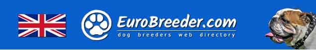 UK Dog Breeders - EuroBreeder.com