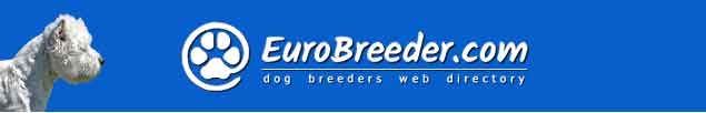 West Highland White Terrier Dog Breeders - EuroBreeder.com