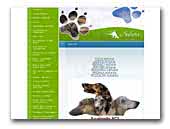 Acalantis Polish Greyhounds