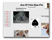Ace of Peis Chinese Shar Pei Kennel