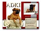 Adki Brussels Griffons