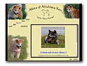 Akita of Akishima ken