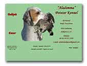 Alademma pointer kennel
