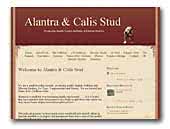 Alantra & Calis Stud