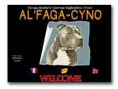 Al'Faga-Cyno