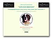 Sint Bernard Kennel Always Friends