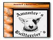 Amanter's Bull Terrier