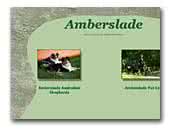 Amberslade Australian Shepherds