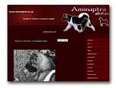 Aminaptra Akitas