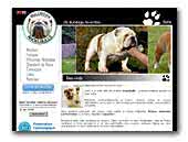 Angelbulls English Bulldogs