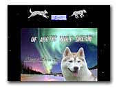 Of Arctic Wolf Dream