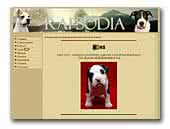 Amstaff kennel Zheltaya Rapsodia