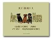 Kennel Ave Muza
