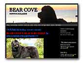 Bear Cove Newfoundlands
