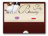 Beauty Fly Papillon