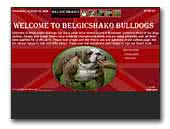 Belgicshako Show Bulldogs
