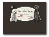 Bielańska Sfora - Weimaraners & West Highland Terrier kennel