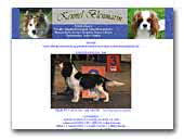 Kennel Blenmarin