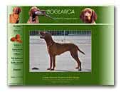 Boglarca Kennel