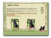Born Wild kennel