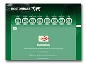 Boston Terrier of Cristal Clear