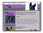 Boston its my life - Boston terrier kennel