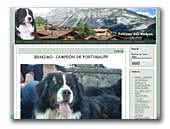 Feitizos das Meigas Bernese Mountain Dogs