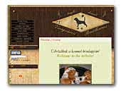 Virágvárosi Bozótharcos Beagle Kennel