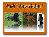Briards bijou pour toujours