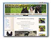 Brillants Boules - French Bulldog Kennel