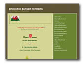Brockfox Border Terriers