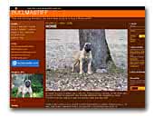 Princess-Bull Kennel - Bullmastiff