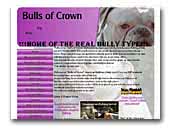 Bulls of Crown American Bulldog