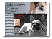 Bulls of Crown French Bulldogs