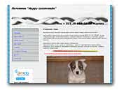 Happy cammomile Jack Russell Terrier