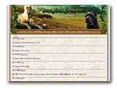Kennel Corso Vincitore
