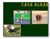 Casa Algarvia
