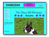 Charuzian Show dogs