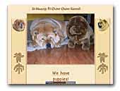 Si Huang-Ti chow-chow kennel