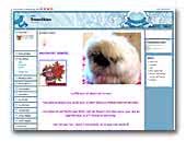 Smoothies Kennel Chows and Pekingese