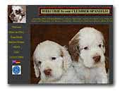 clumber-spaniels.eu