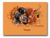 Vita da Bestia kennel