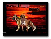 Crvena Munja kennel